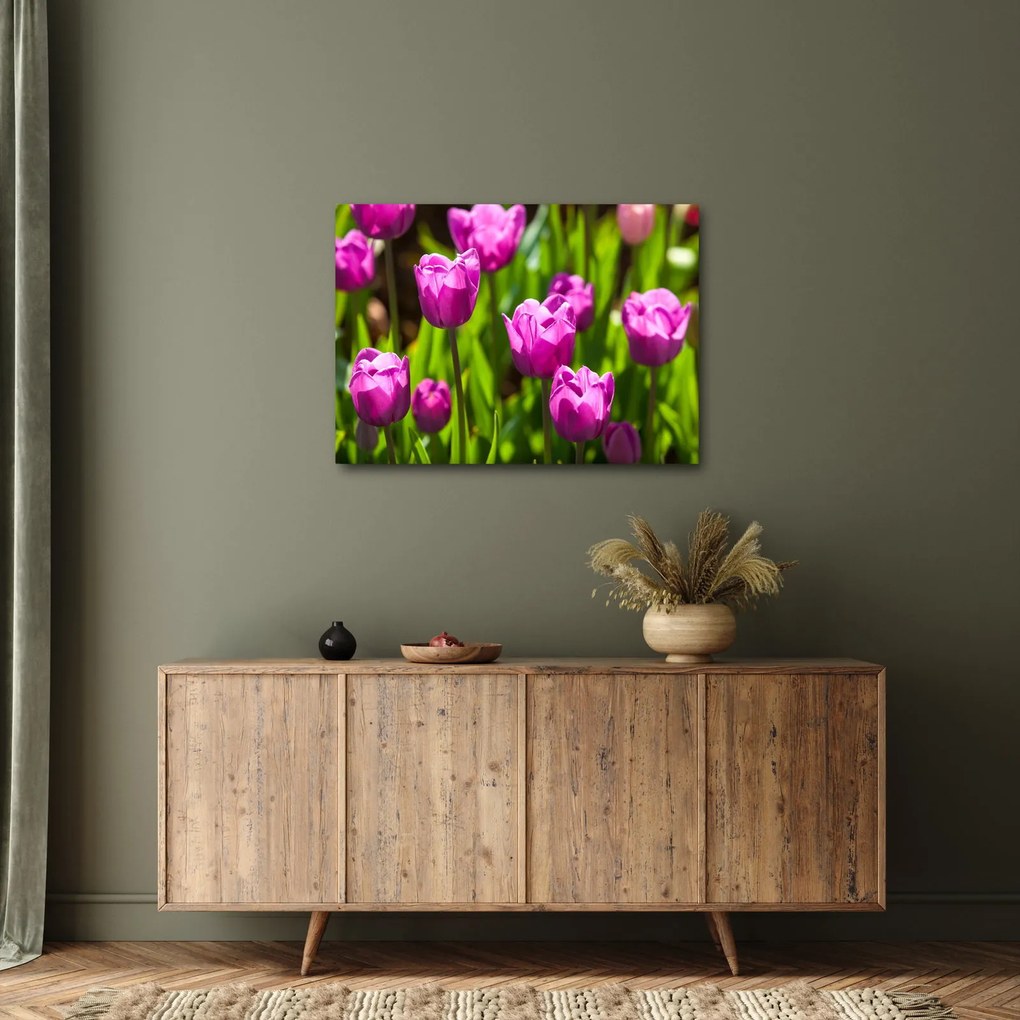 Tulipánok a réten képe (70x50 cm)