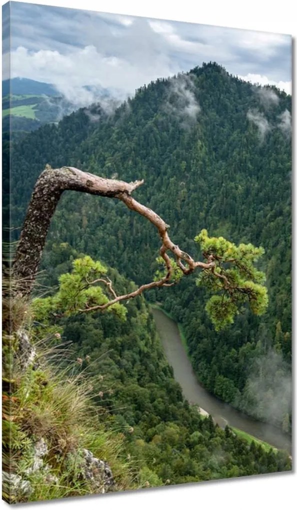 Vászonkép 40x60 Tájkép Sólyomkő