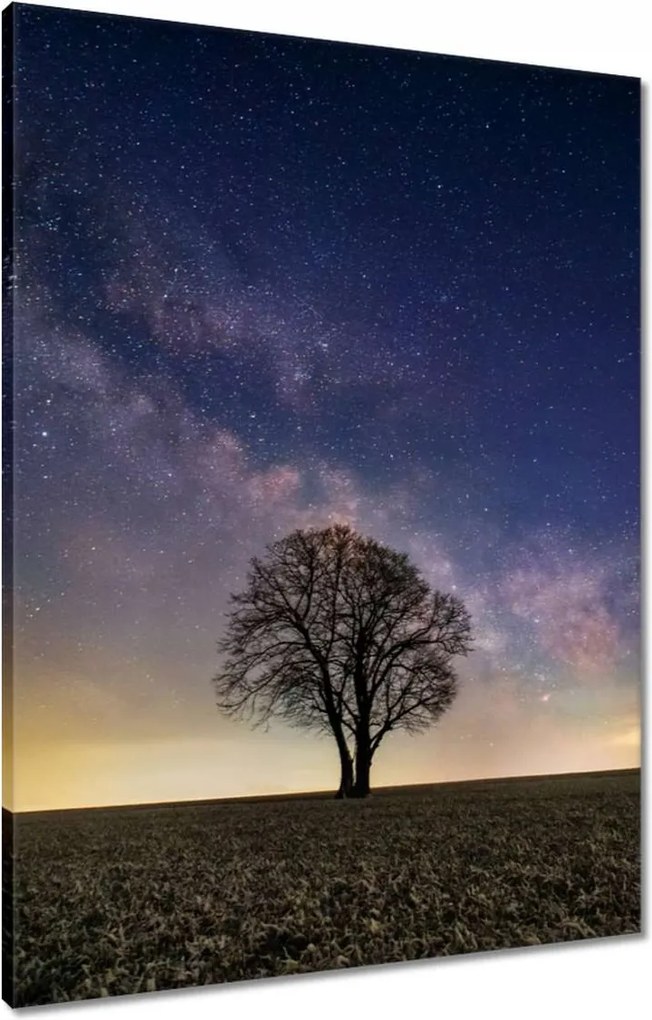 Vászonkép 60x80 Magányos fa és csillagok