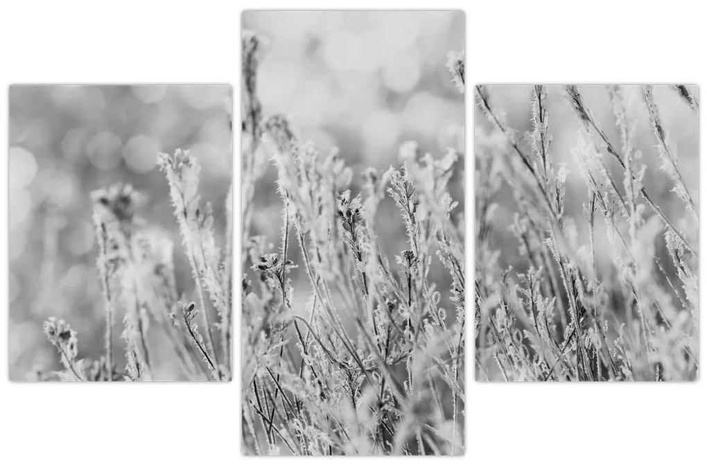 Kép - Hideg tél (90x60 cm)