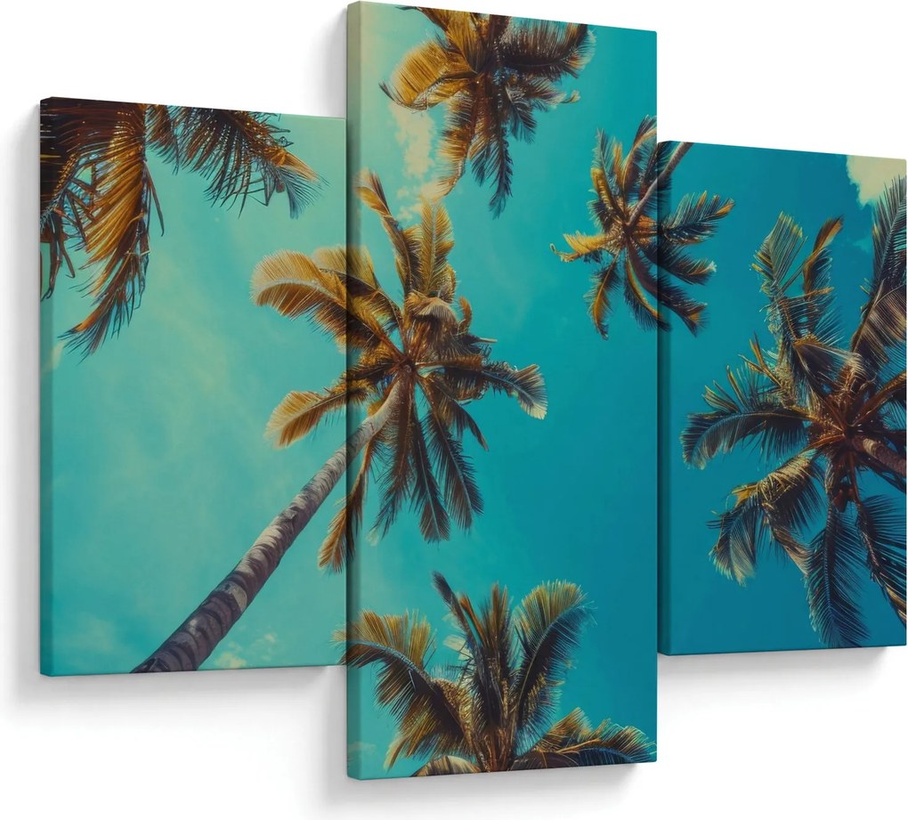 Kép - Magas pálmafák (90x60 cm)