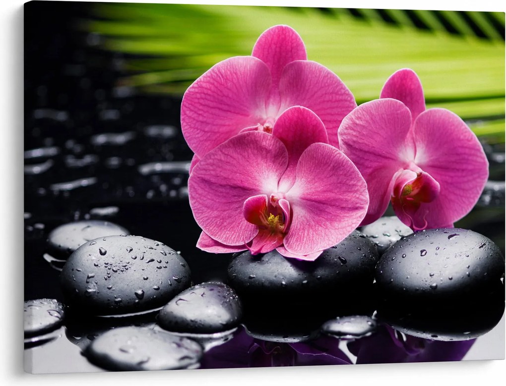 Kép - Rózsaszín orchidea pálmalevéllel (70x50 cm)