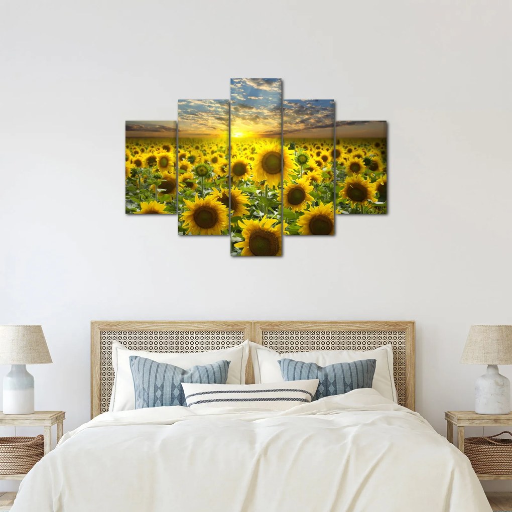Kép - Napraforgók naplementében (150x105 cm)