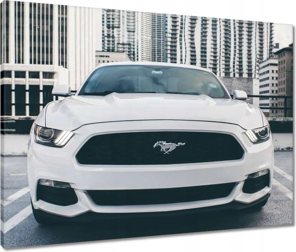 Vászonkép 80x60 Ford Mustang Usa autó