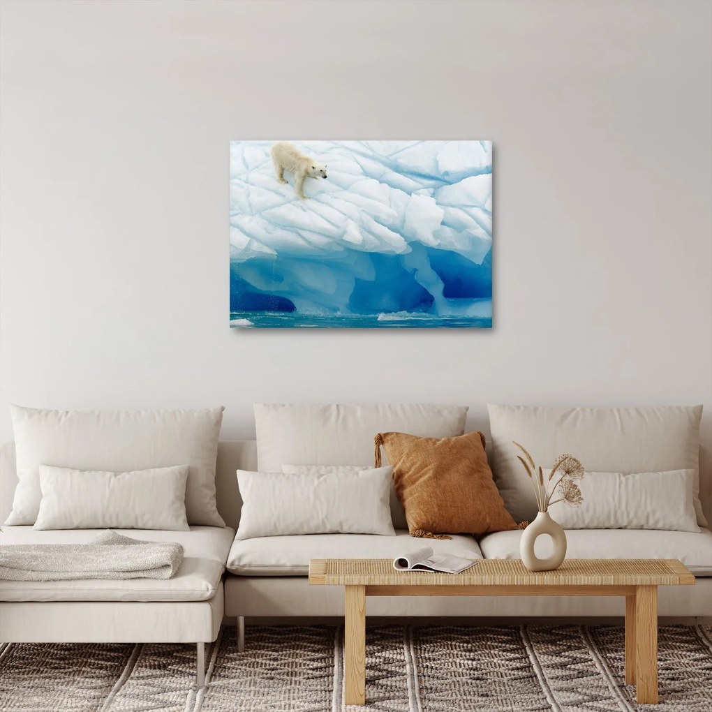 Kép - Jegesmedve (70x50 cm)