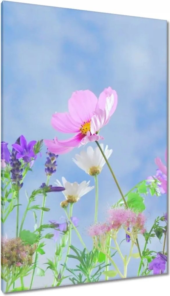 Vászonkép 80x120 Finom virágok