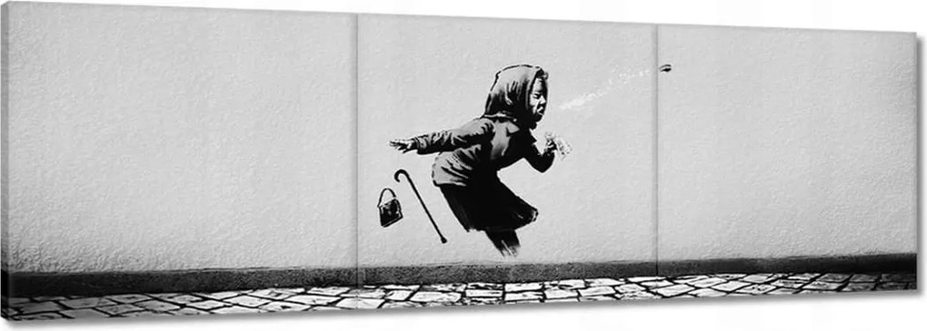 Vászonkép 90x30 Banksy Nagymama Achoo Kutya