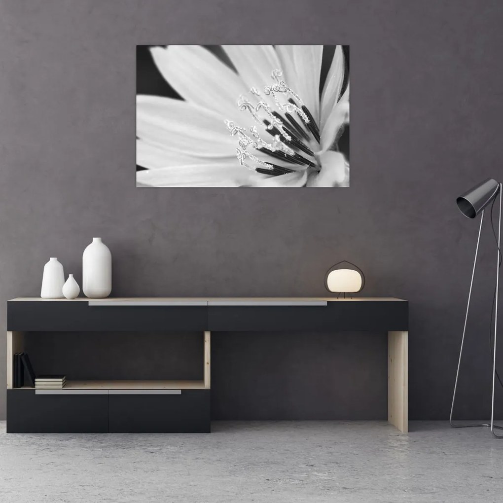 Kép - Fekete-fehér virág (90x60 cm)