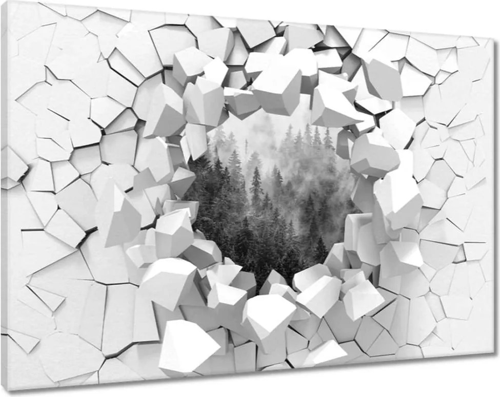 Vászonkép 90x60 Tájkép Szürke Hegyek Köd