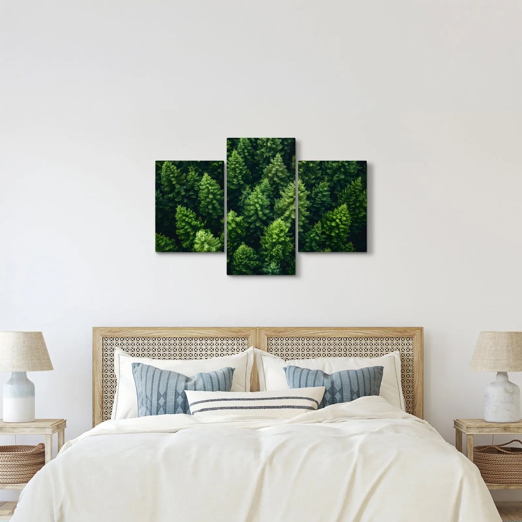 Kép - Forest (90x60 cm)