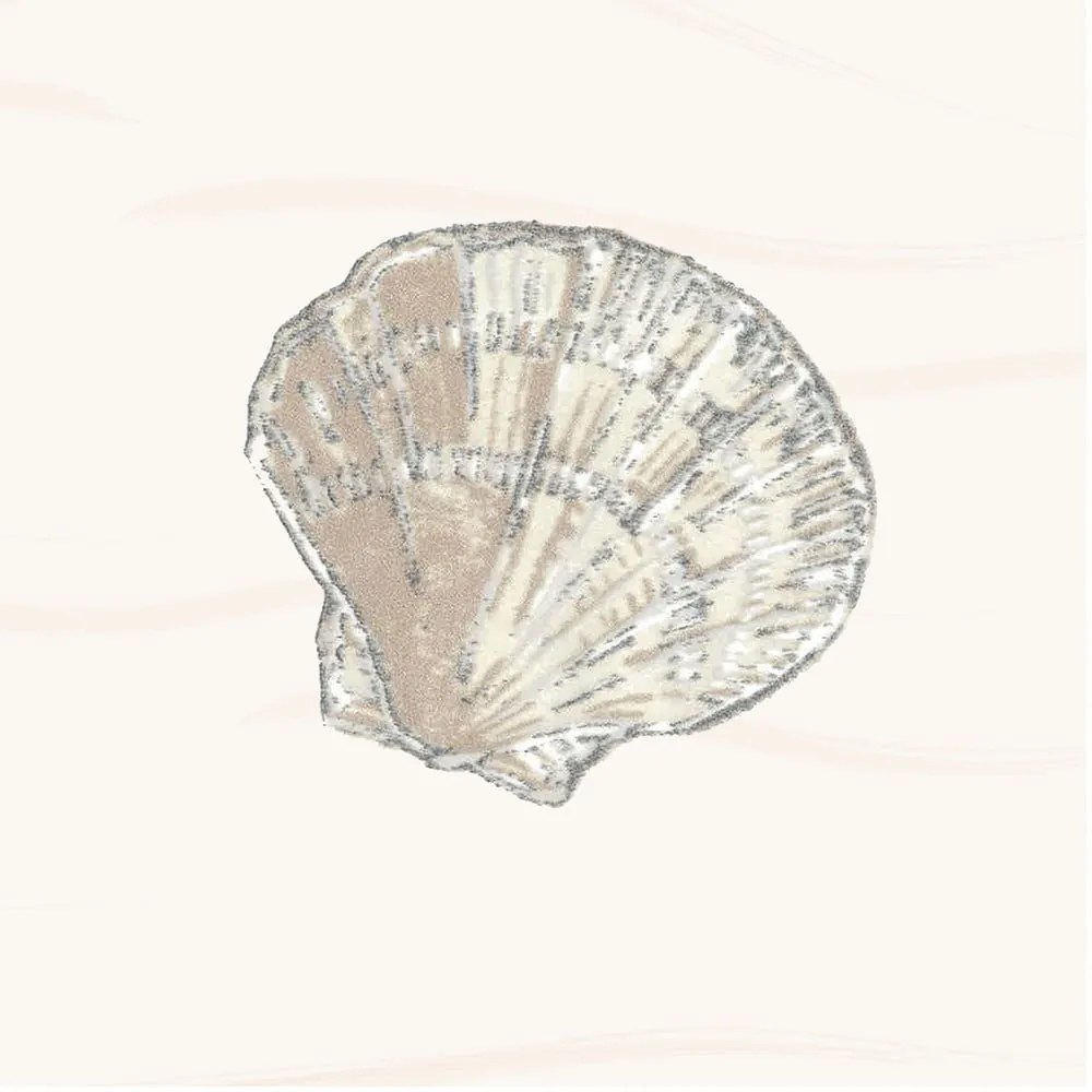 Zuhanyfüggöny 180x180 cm Atlantis – Spirella