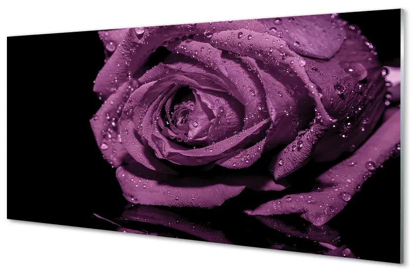 Üvegképek lila rózsa 140x70 cm