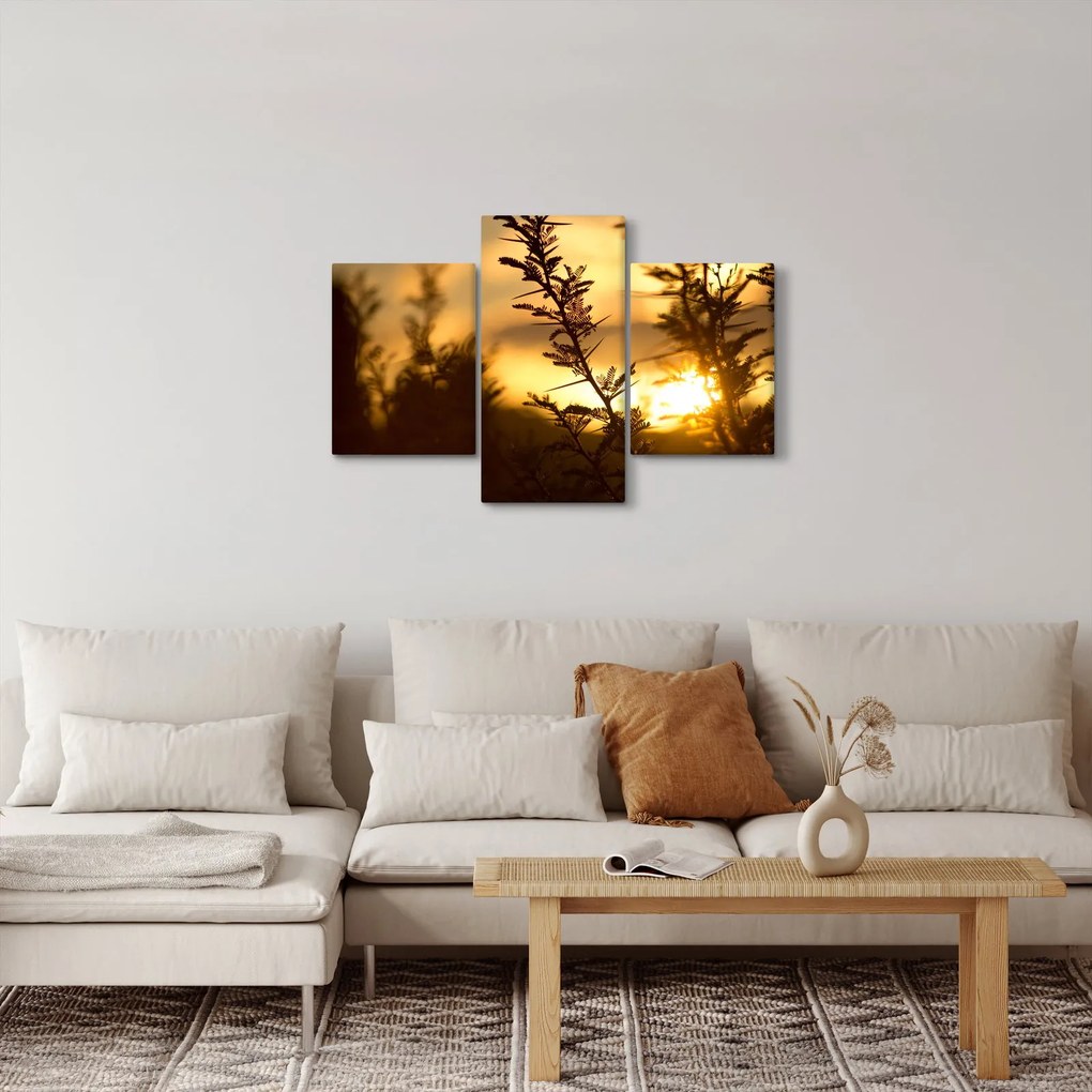 Kép - A nap lenyugszik a fák mögött (90x60 cm)