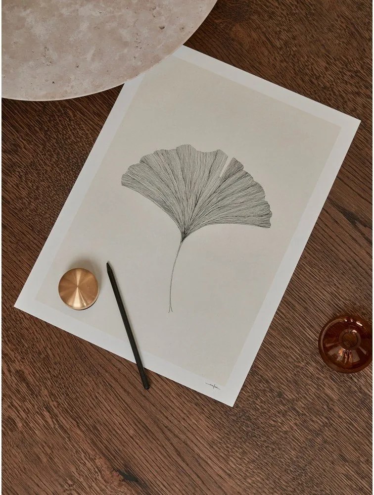 Poszter 50x70 cm Ginkgo Leaf – Ana Frois – The Poster Club