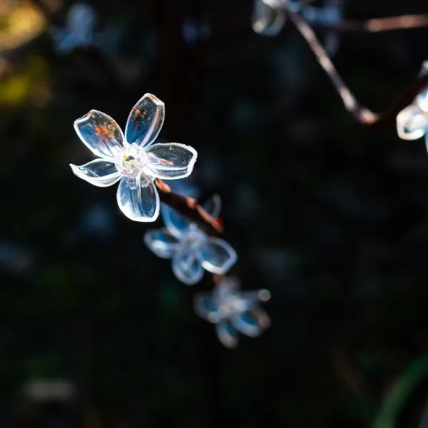 LED RGBW Napelemes lámpa TREE LED/0,1W/1,2V 600 mAh IP44 barna