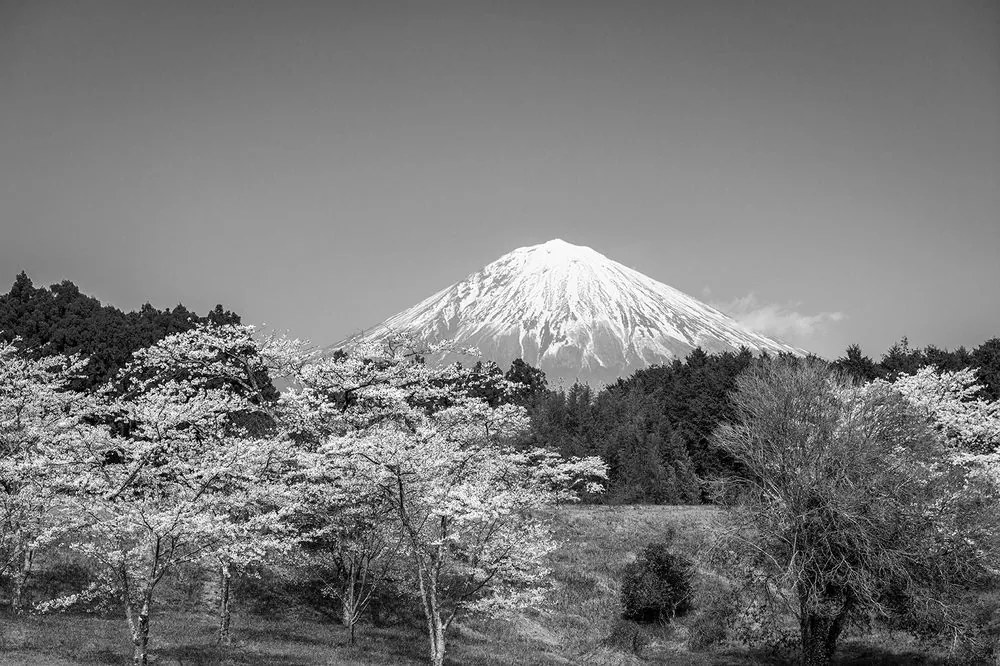 Fotótapéta Fuji hegy fekete fehérben