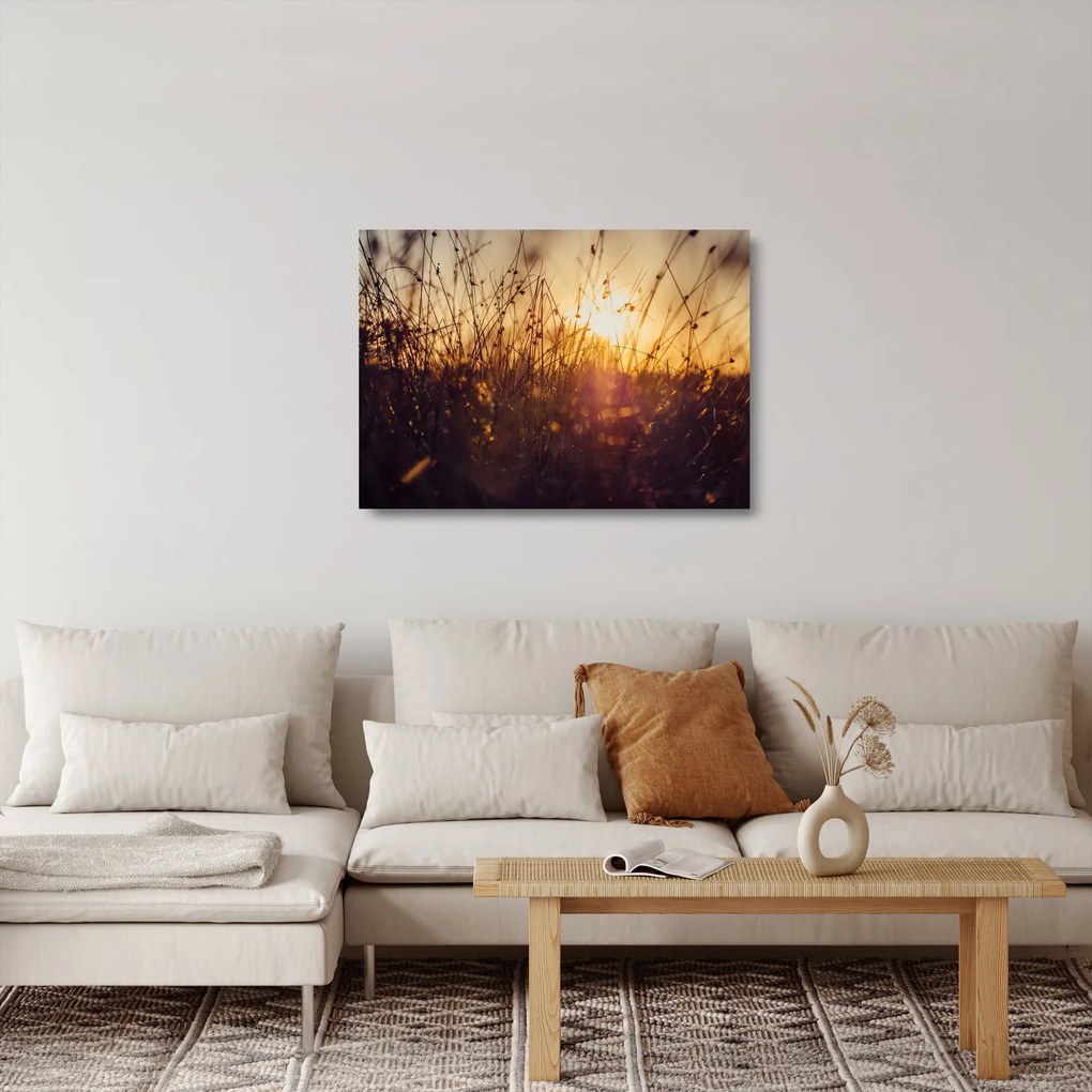 A mező képe naplementekor (üvegen) (70x50 cm)