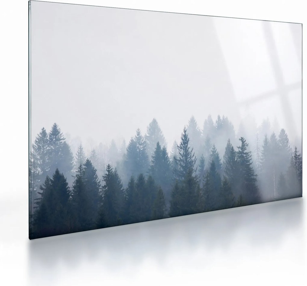 Üveg kép - Ködös erdő (70x50 cm)