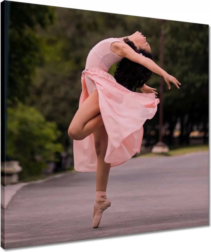 Vászonkép 50x50 Balett balerina tánc