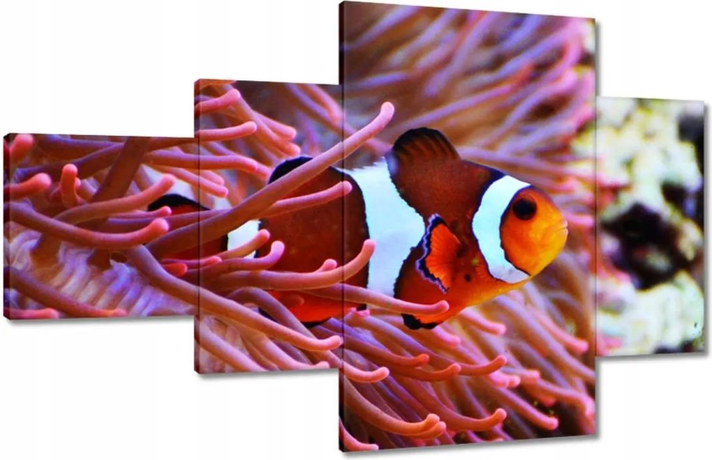 Vászonkép 130x80 Narancssárga hal Rafa