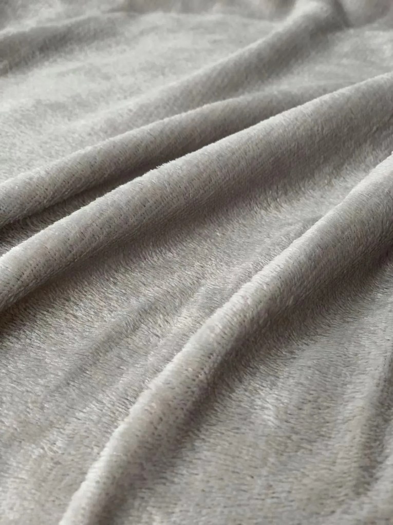 Mikroszálas pléd SOFT, világosszürke Méret: 200 x 220 cm