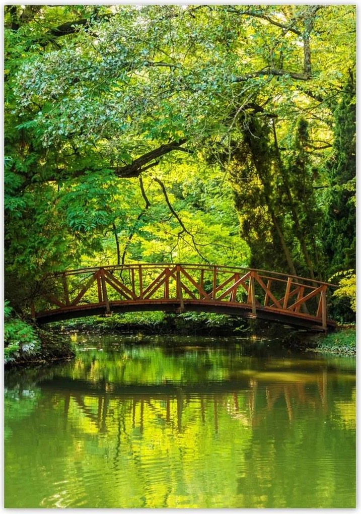 Poszterek 70x100 Fa híd