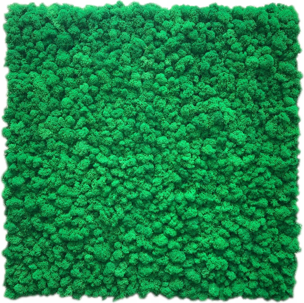 Moha panel finn Prémium! 30x30 cm