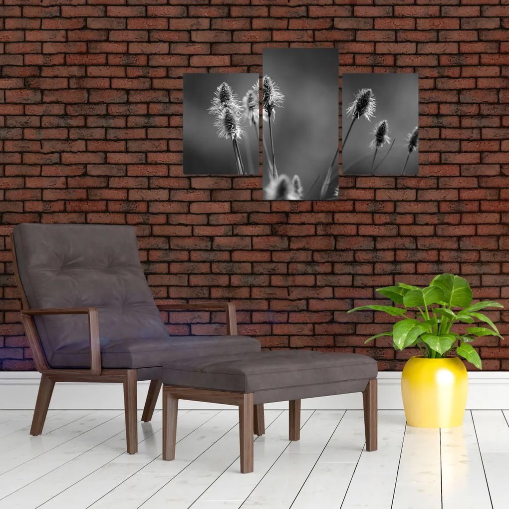 Kép - Bézs színű puha fű N⁰2 (90x60 cm)