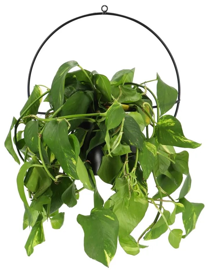 Planter fekete fali virágtartó - Esschert Design