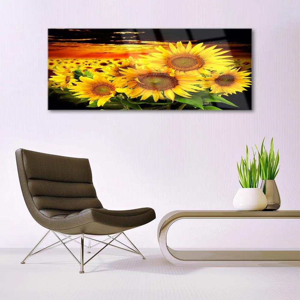 Fali üvegkép Napraforgó virág növény 100x50 cm