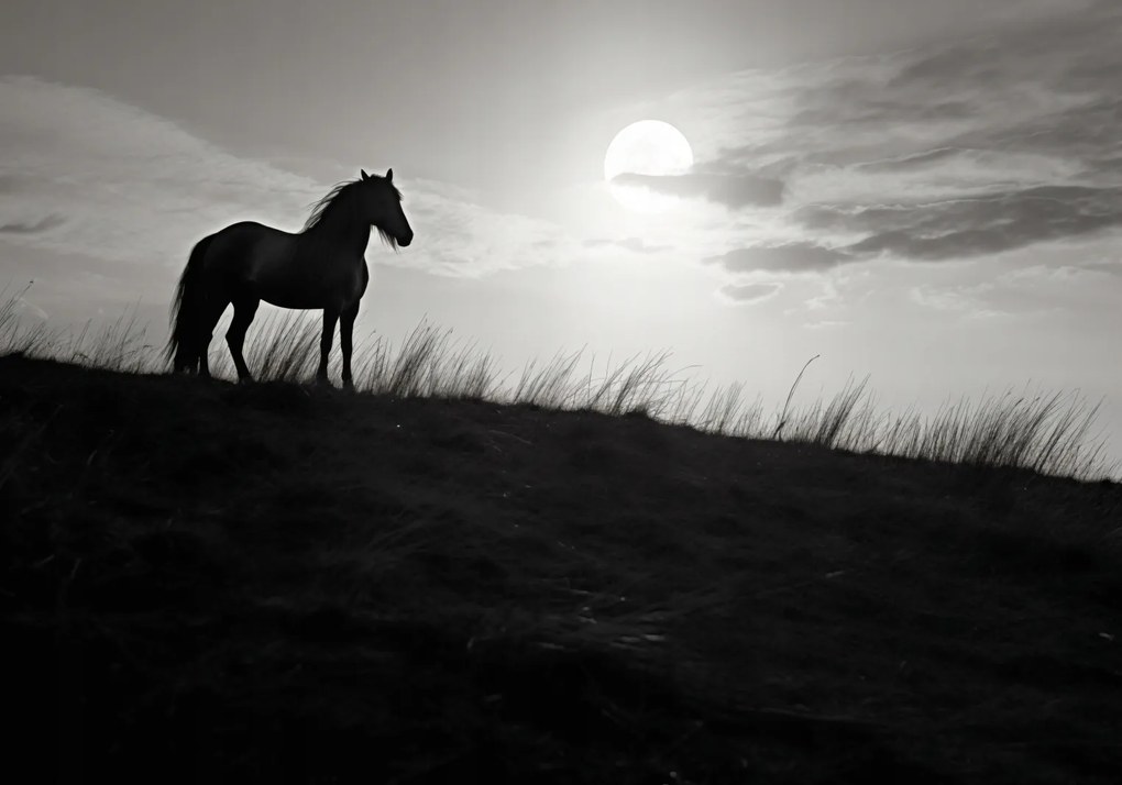 Poszter 100x70cm Holdőrség