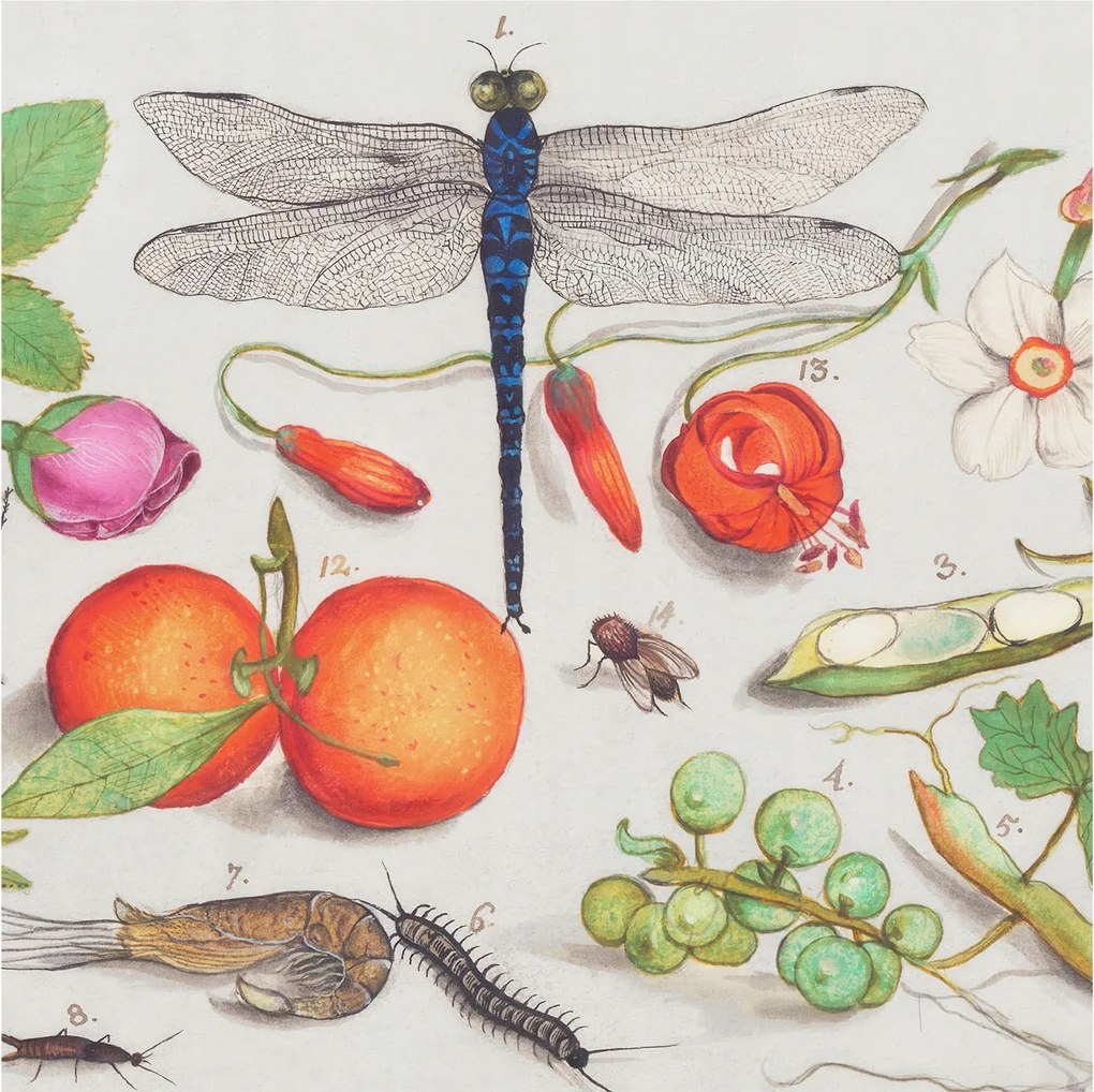 Flizelin tapéta Fali furnér 3D hatás Természeti illusztráció 250x250