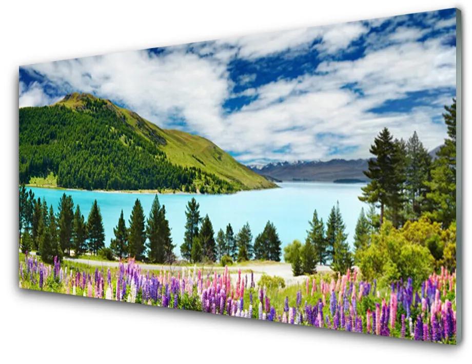 Üvegkép Mountain Lake Forest Landscape 140x70 cm