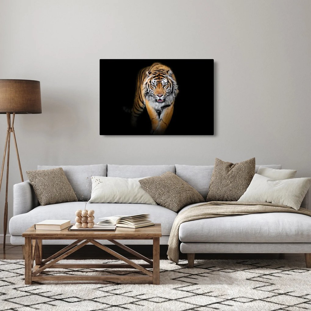 Kép - Tigris (90x60 cm)