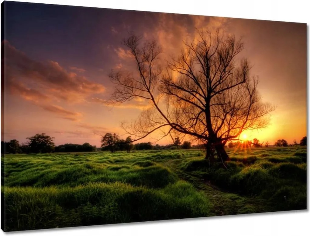 Vászonkép 90x60 Egy este a croissant-ban