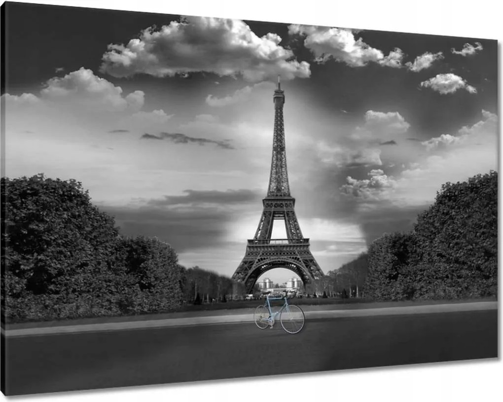 Képek 100x70 Kerékpár az Eiffel-torony előtt