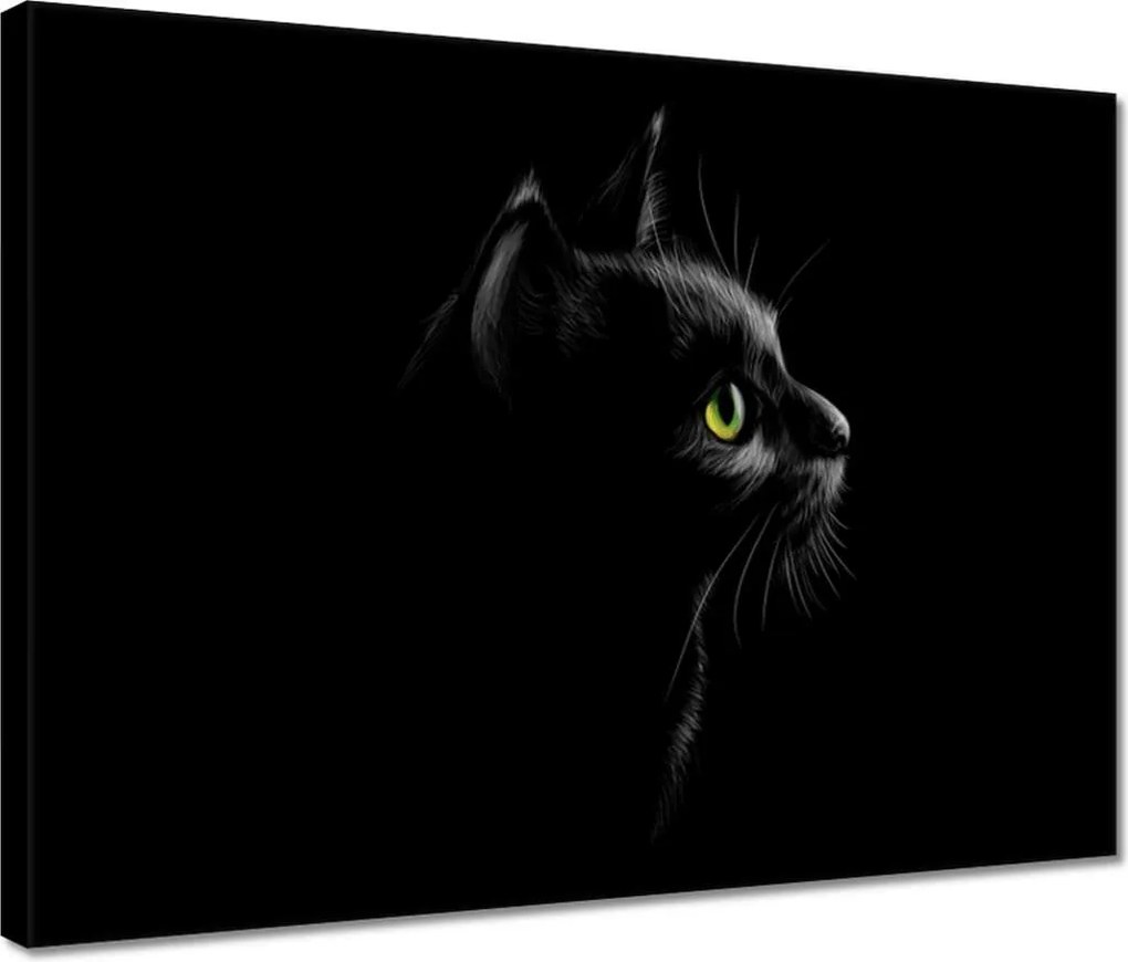 Vászonkép 40x30 Fekete cica macska