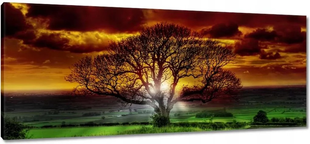 Vászonkép 100x40 Varázslatos fa