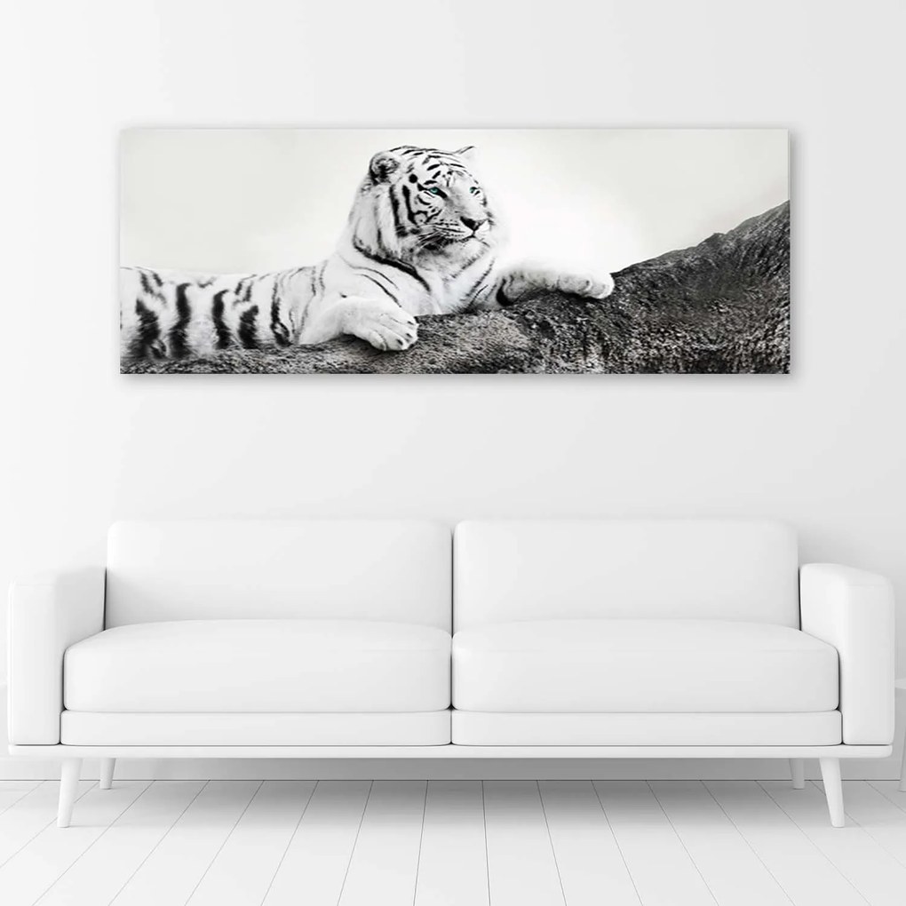 Gario Vászonkép Figyelo tigris Méret: 120 x 40 cm