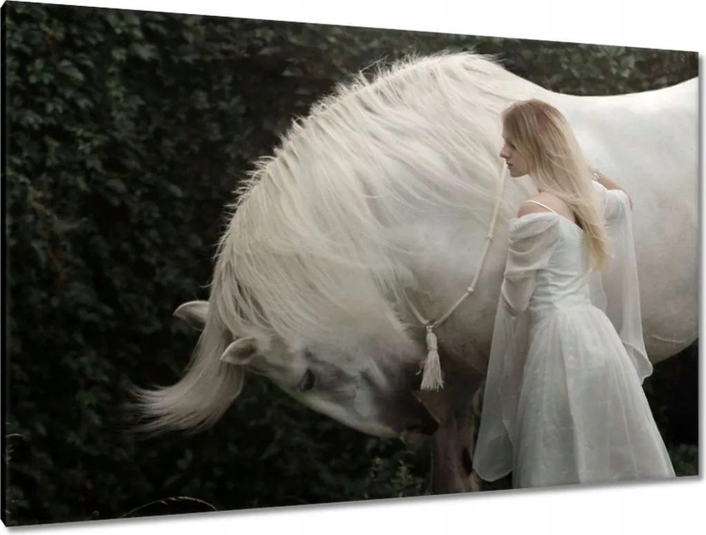 Vászonkép 120x80 Ló Lovak Lovaglás