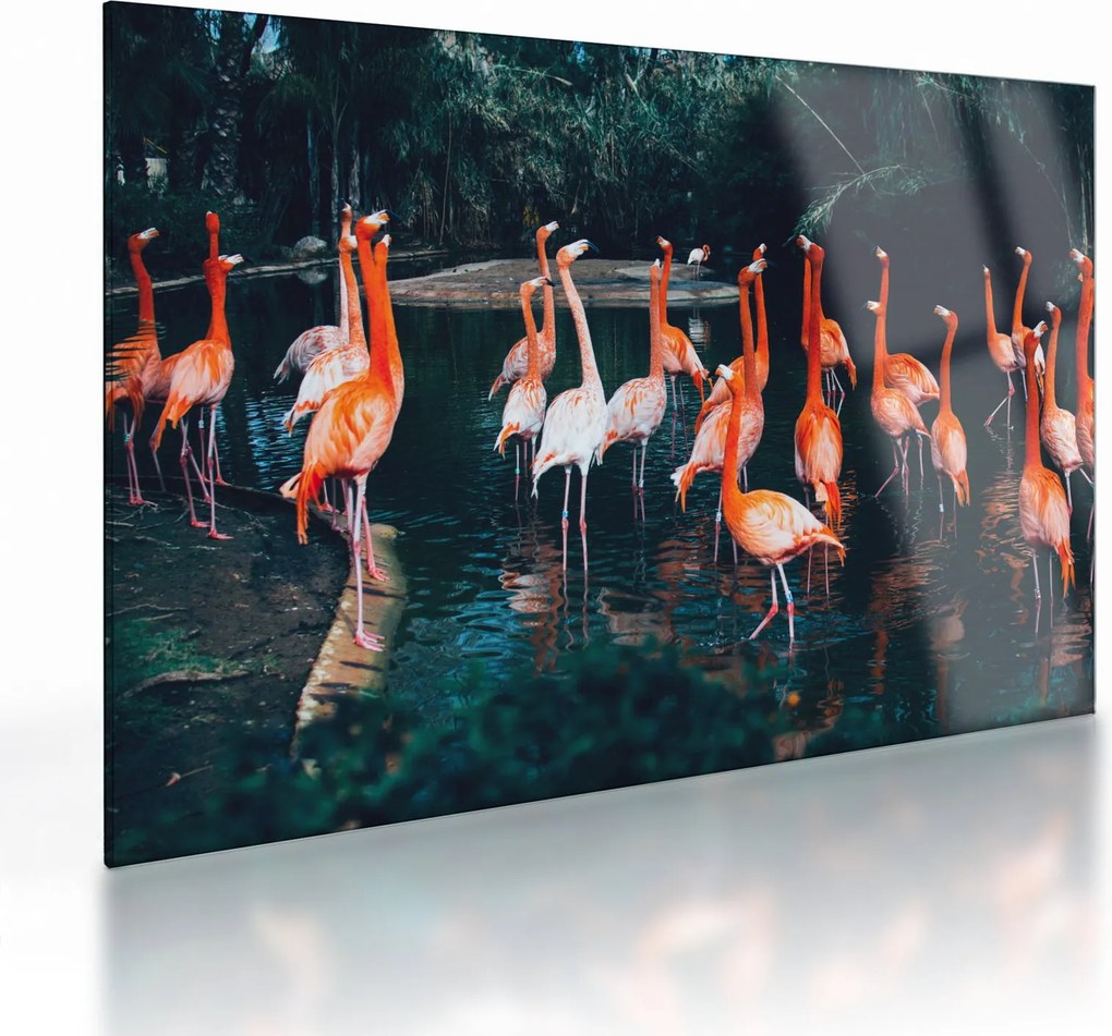 Flamingók csordája (üvegen) (70x50 cm)