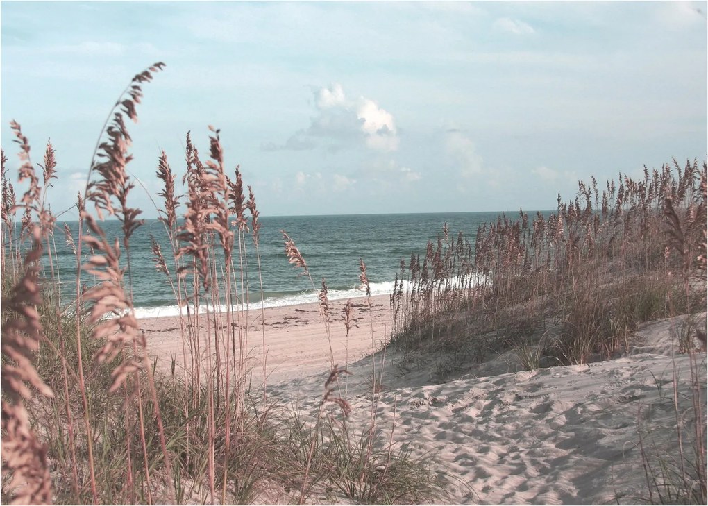 Kép - Rózsaszín strand (70x50 cm)