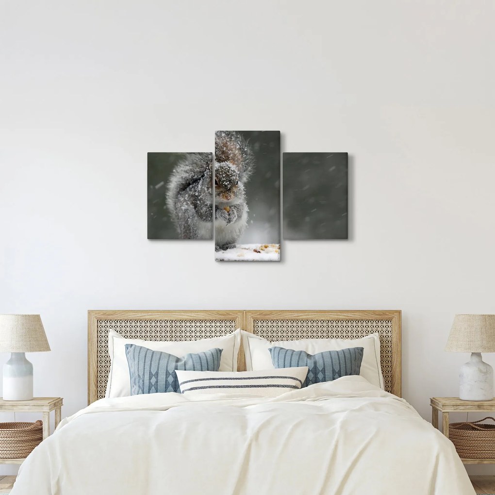 Kép - Mókus télen (90x60 cm)