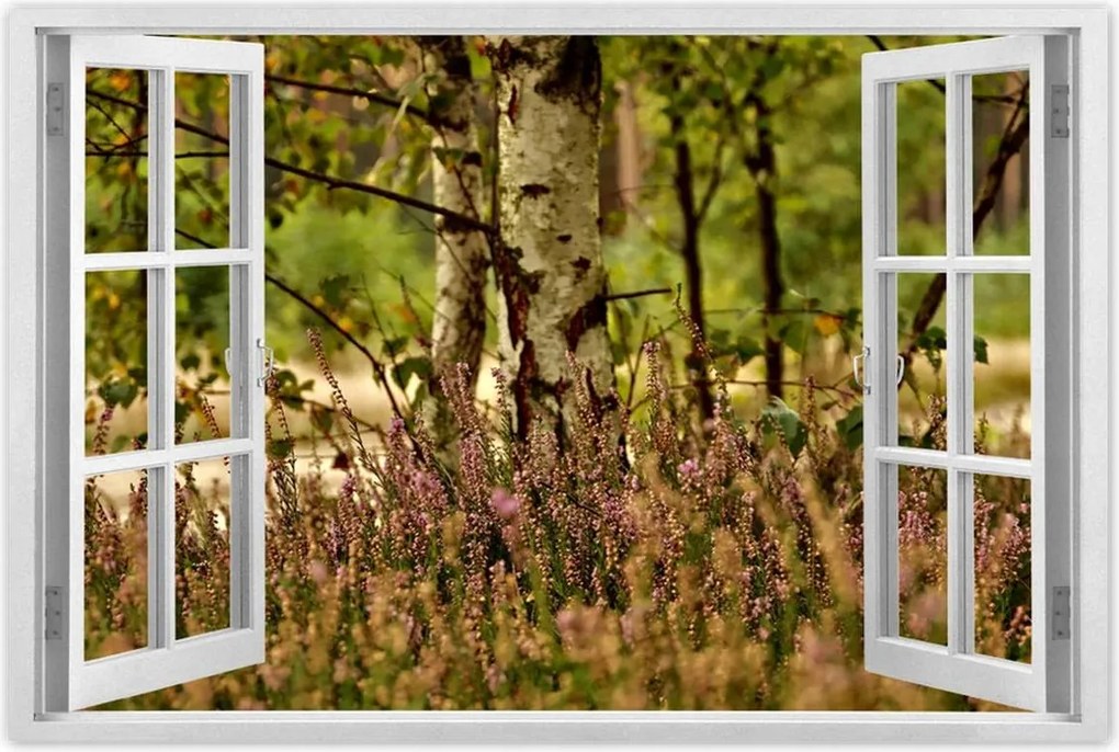 Poszterek 60x40 Nyírfa a hangák között Erdő