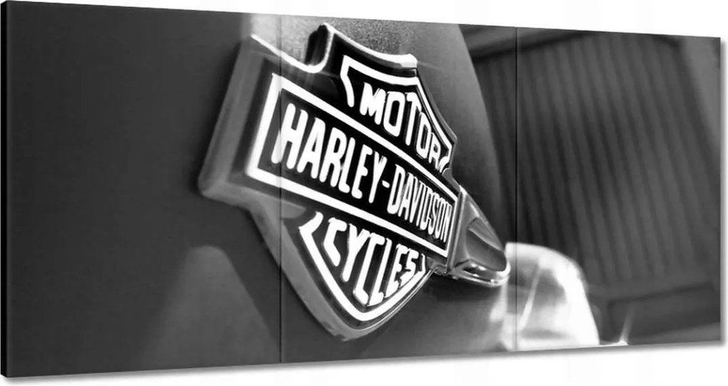 Vászonkép 60x30 Harley Davidson logó