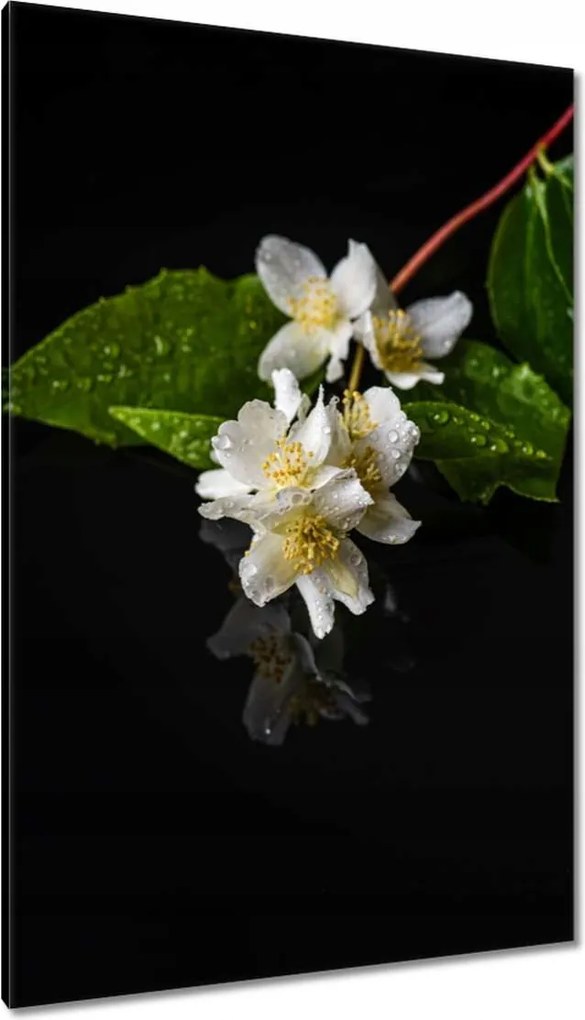 Vászonkép 80x120 Kwiatek fehérego