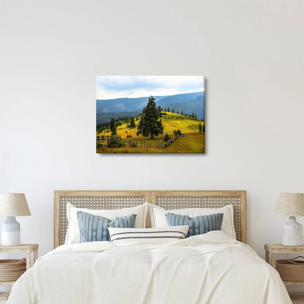 Kép - Hegyi rét (70x50 cm)
