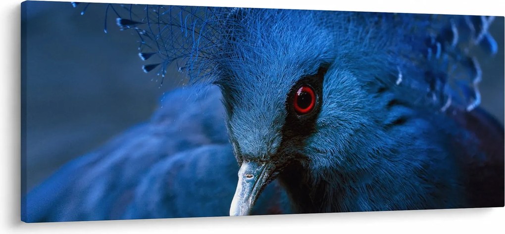 Kép - Koronás galamb (120x50 cm)