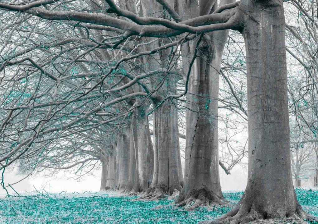 Poszter 84,1x59,4cm Fák egy sorban türkiz levelek, Assaf Frank