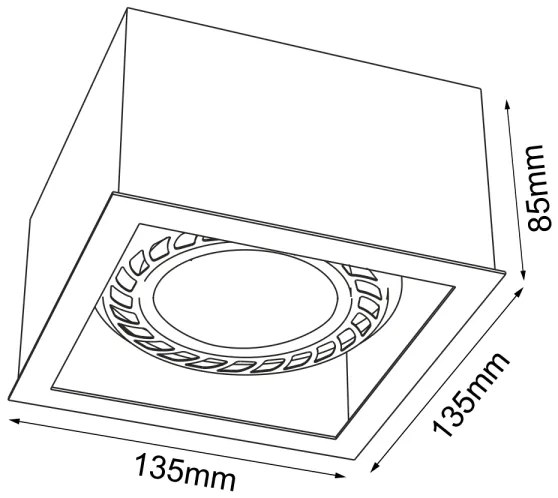 Brosline 1272 - CAGE spotlámpa 1xGU10/18W/230V fehér